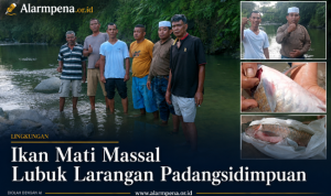 e31af9ad2d072dfe3ffb07becb2d0d3925a577c1093244295dd513cebcb5d619_copy_650x400
